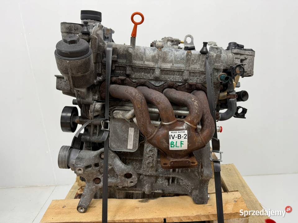 SILNIK BLF VW Touran Golf V Eos Jetta III 16 FSI Chełm