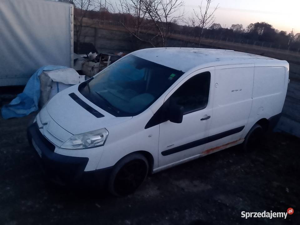 Citroen Jumpy 16hdi Drzewica