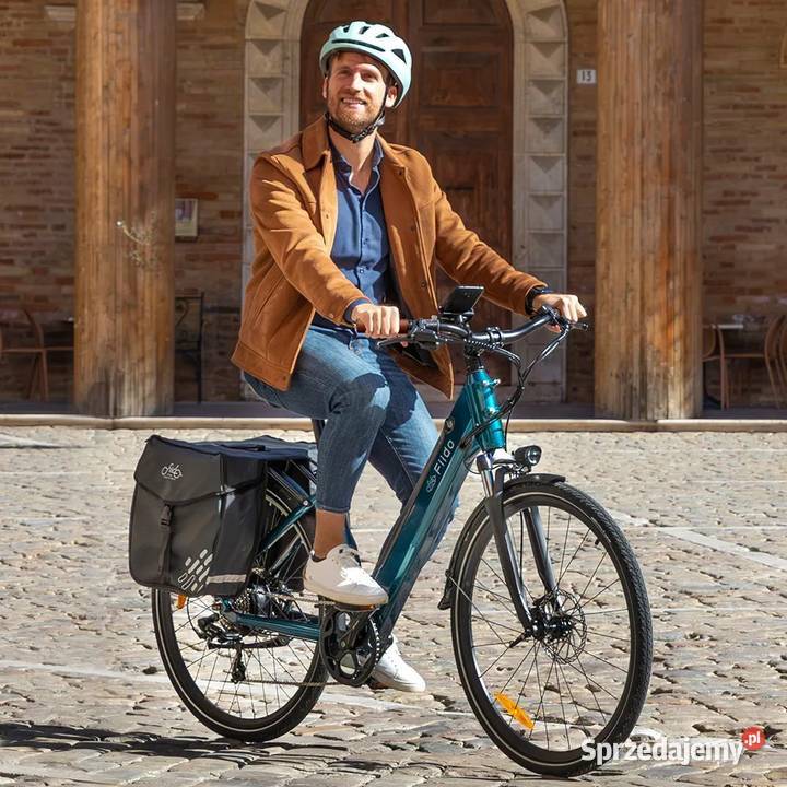 NOWOŚĆ Fiido C11 Pro miejski ebike 250W 48V Tarnobrzeg