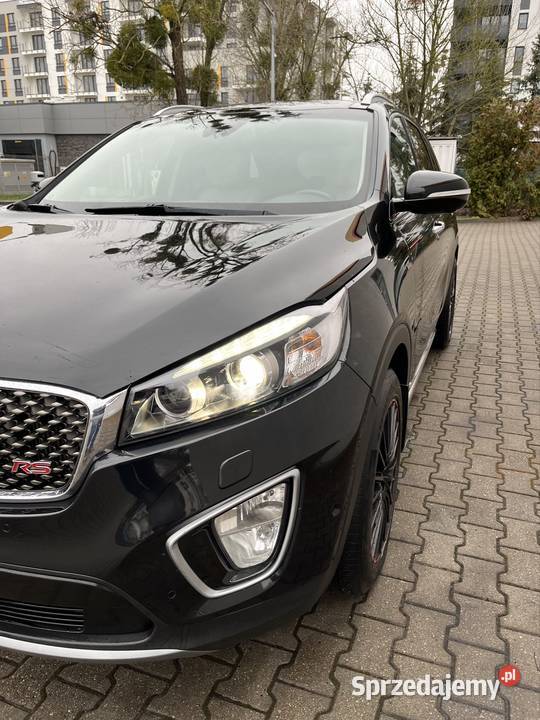 Kia Sorento Sorento Toruń
