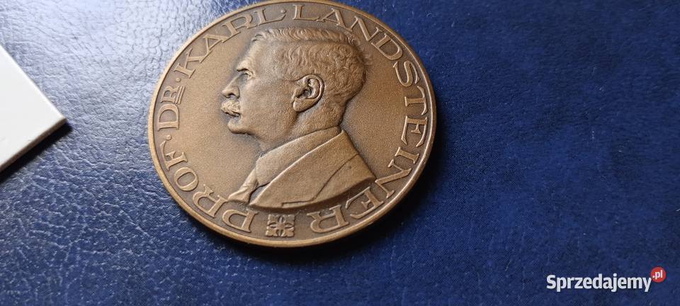 Stare monety Medal Holandia 129 Malarstwo Lesko sprzedam
