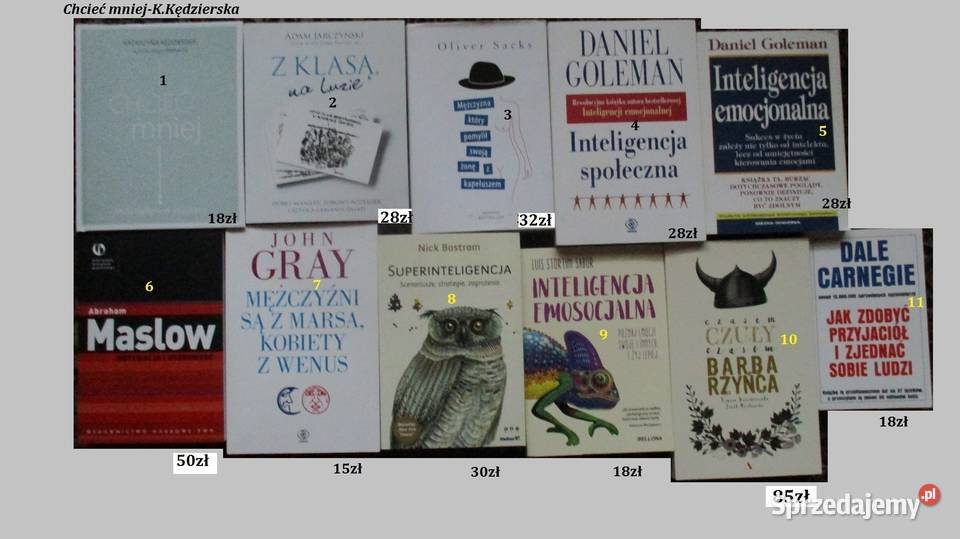 48 praw władzy RGreene psychologiasocjologia Łódź sprzedam