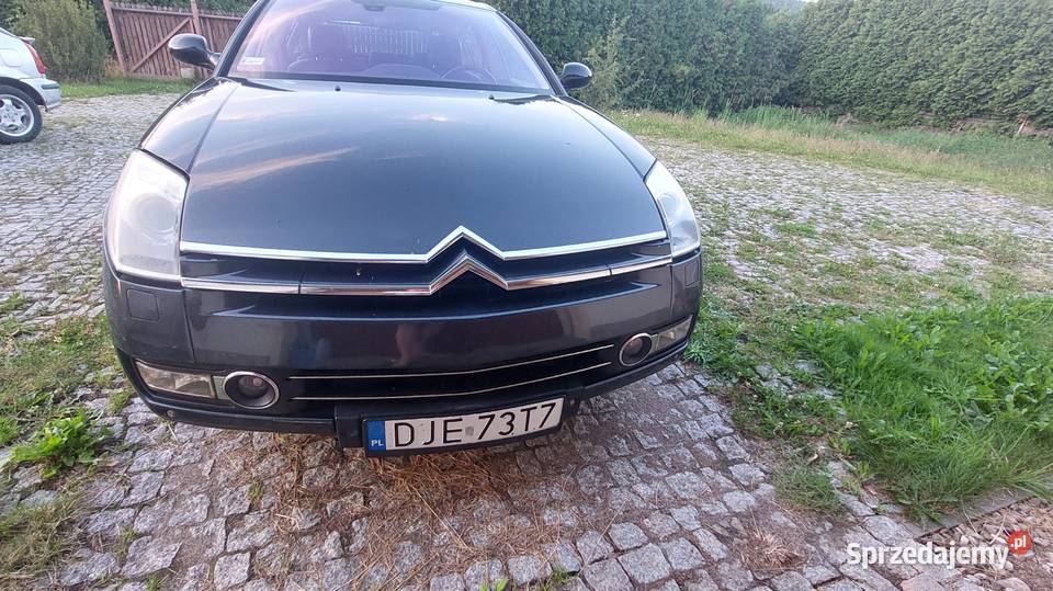 C6 milosnika komfortu Sosnówka