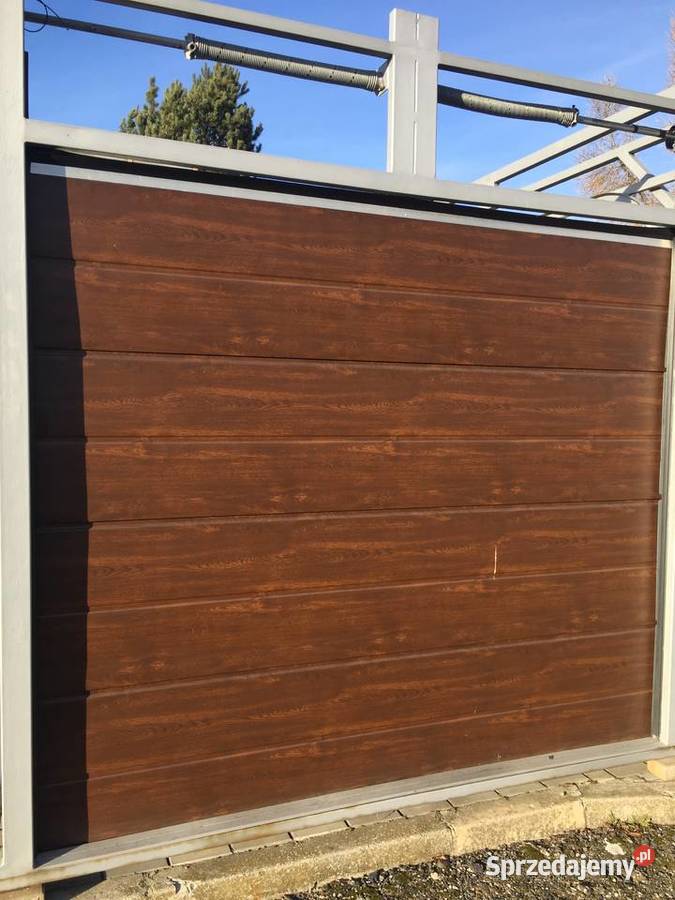 Panel bramy segmentowej ZŁOTY DĄB ORZECH Gatunek świętokrzyskie
