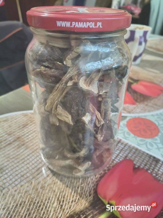 Grzyby Mix Grzyby świętokrzyskie