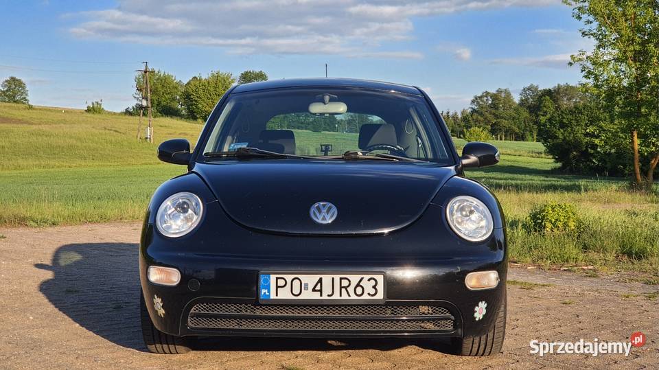 Volkswagen Beetle Garbus Poznań