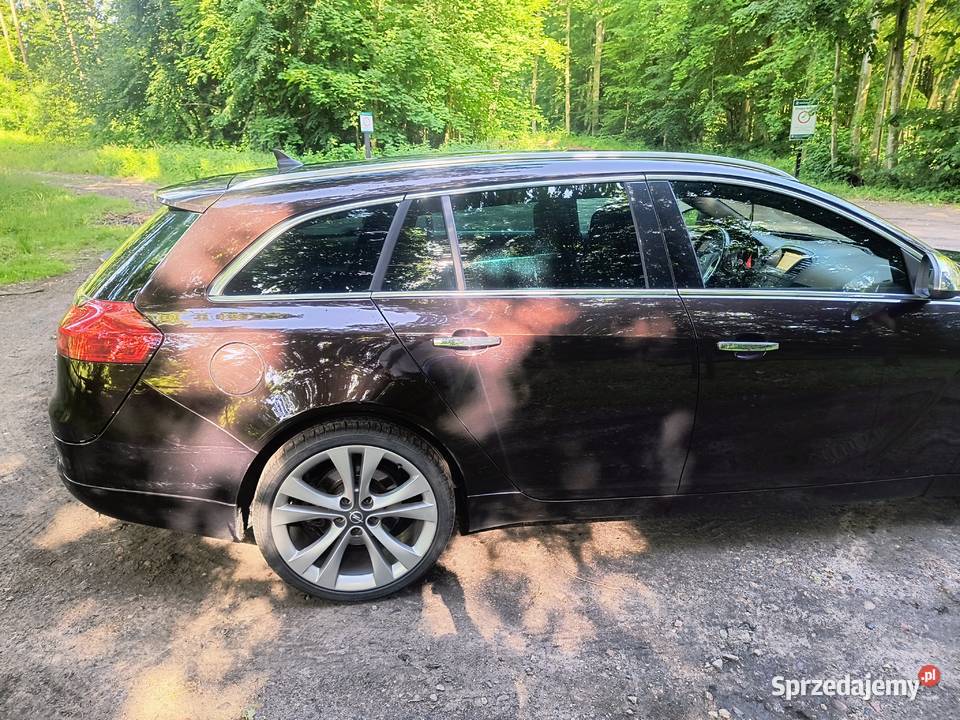 Opel Insignia A 20 CDTI 4x4 Automat Opel Sobowidz