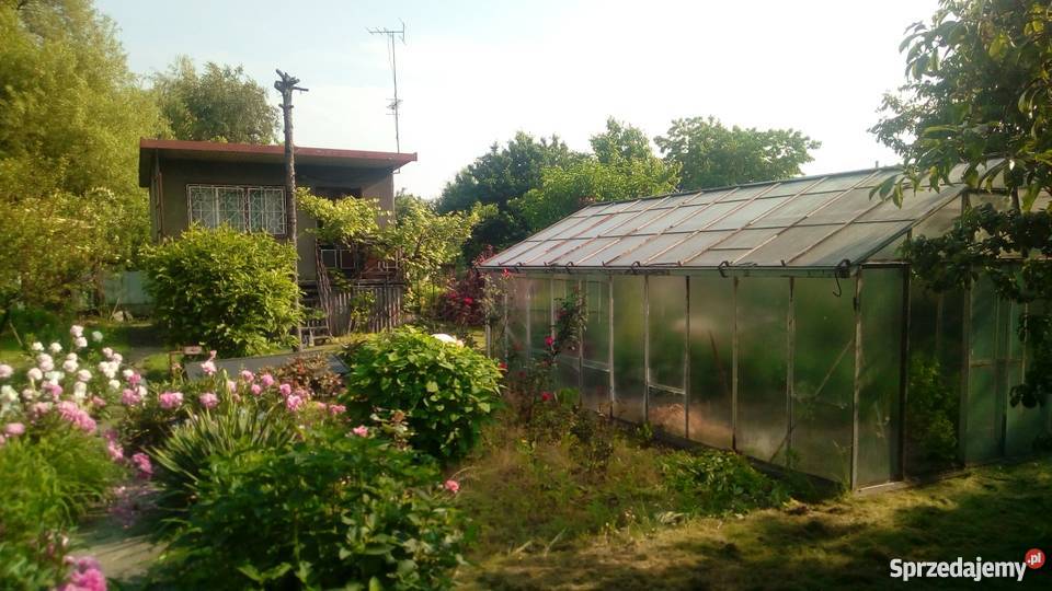 Działka rekreacyjna ROD im A Mickiewicza rekreacyjna sprzedam