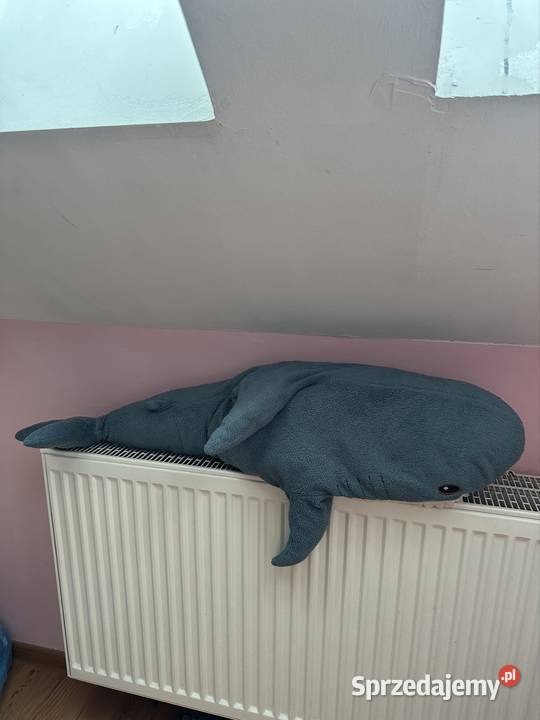 Zabawka xxl rakinek niebieski Kraków sprzedam