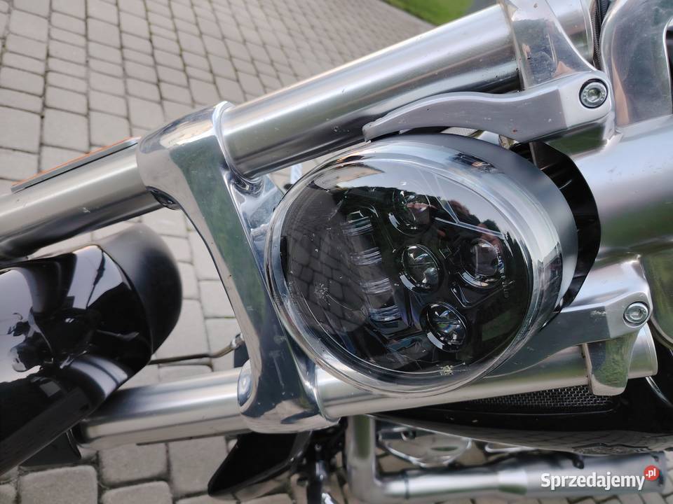 Harley davidson vrod muscle Szprotawa