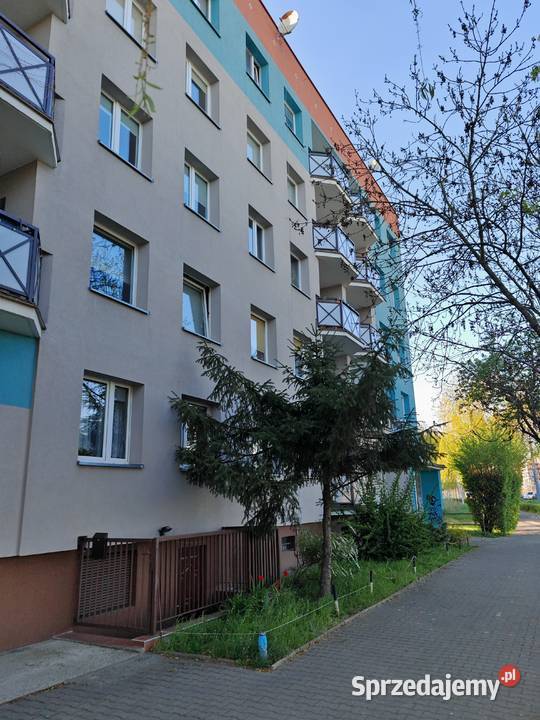 Lokal usługowy Gaj Orłowicza Sprzedaż Wrocław