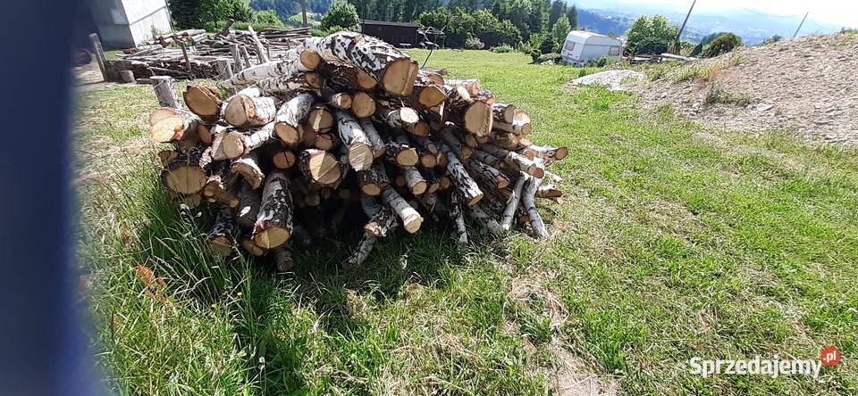 Sprzedam brzozę opał Koniaków sprzedam