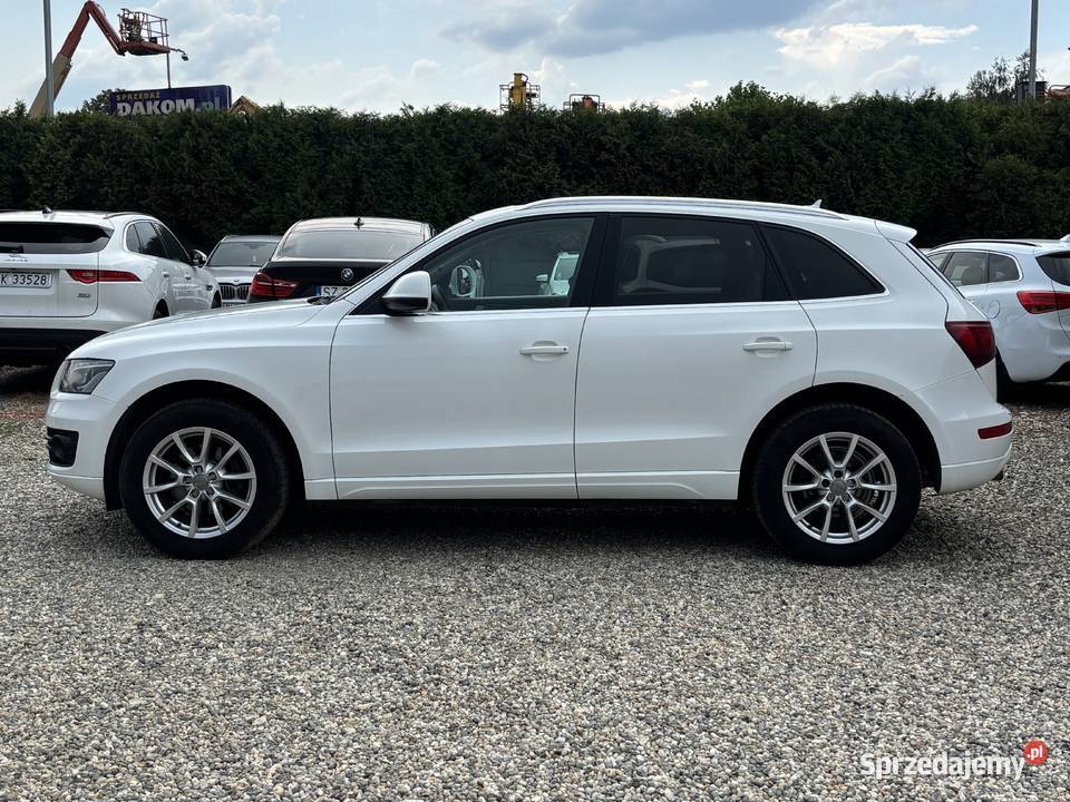 Audi Q5 Paniówki