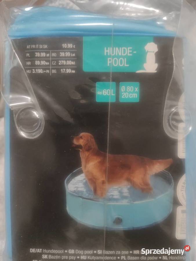 Basen psów śląskie Bytom