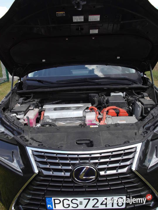 Lexus NX 300h NX Kaźmierz