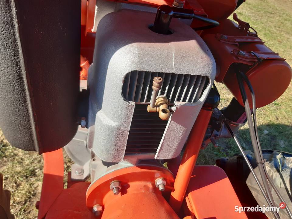 Dzik 21 lisek traktorek Zamość sprzedam