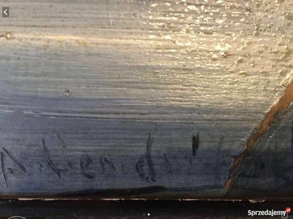 ObrazŁódź na jeziorze Ruda Śląska sprzedam