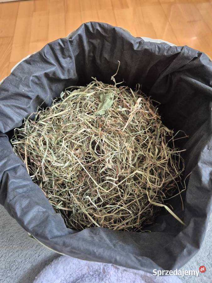 Legowisko królika świnki morskiej Zwierzęta Chorzów