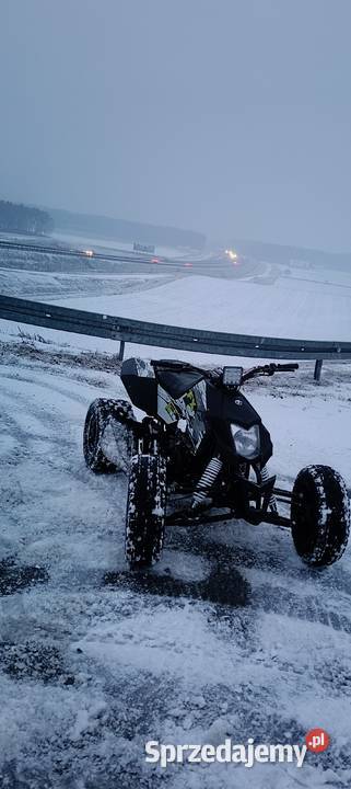 Quad 250 FX madmax Pozostałe Lubinicko