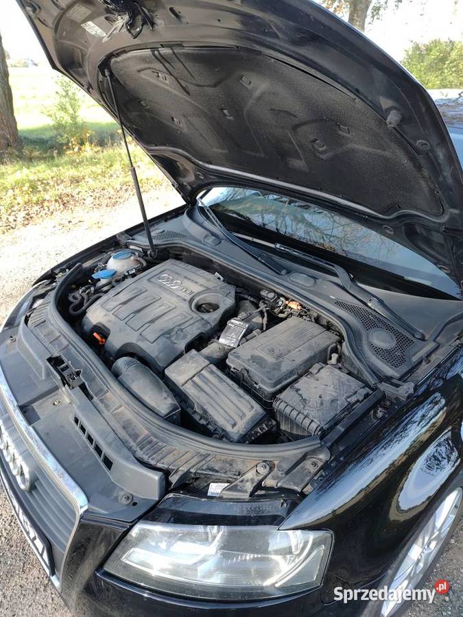 Audi A3 8P 2010 Manual 16 TDI Ozorków
