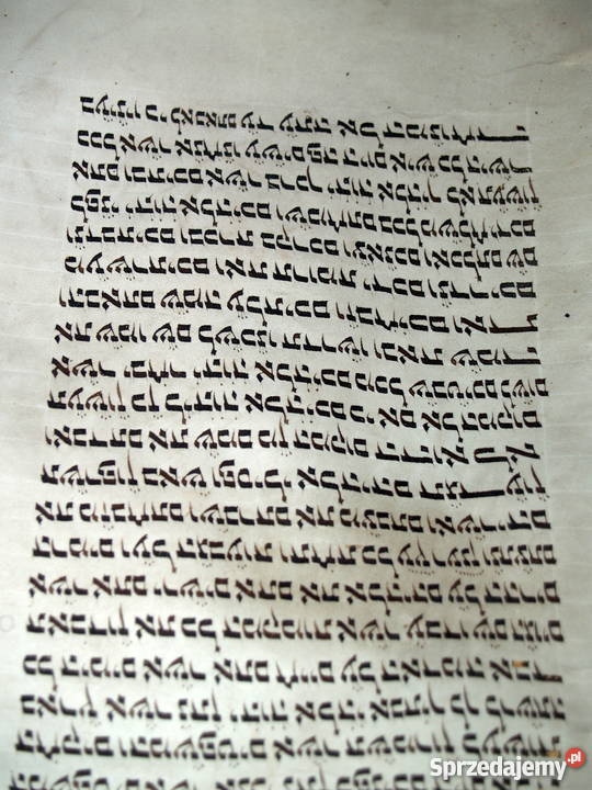 Dziewiętnastowieczna tora na pergaminie Tarnów