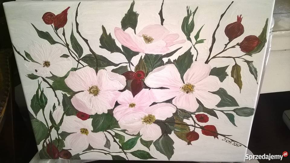 Obraz akryl Gałąź Dzikiej Róży Oleśnica