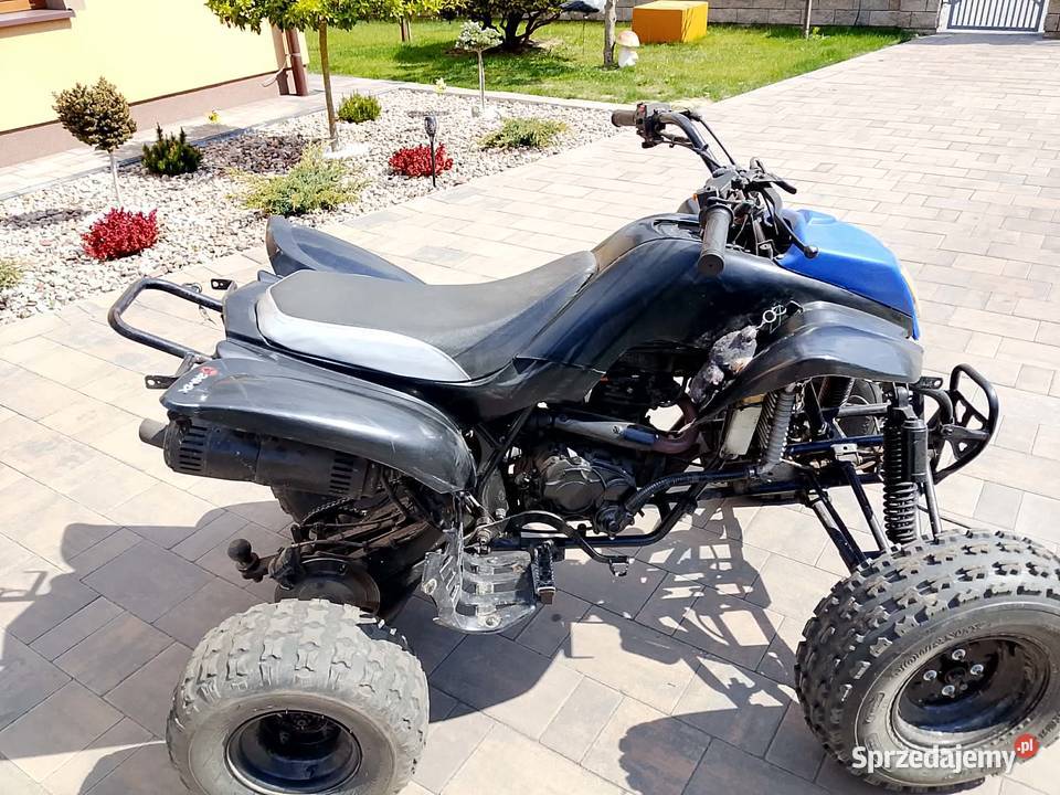 Sprzedam Bashana 250 Bashan Borek Czarniński