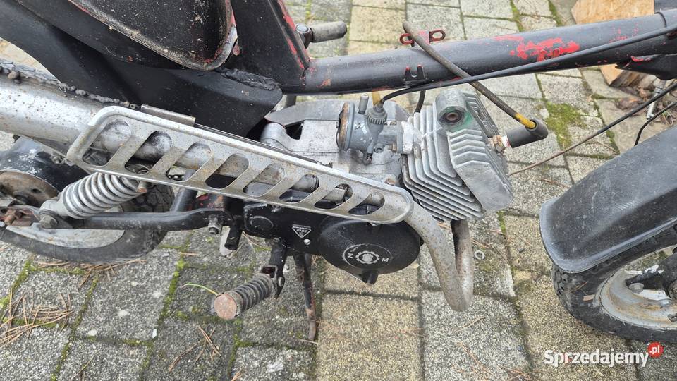 Motorynka stella Hryniewicze