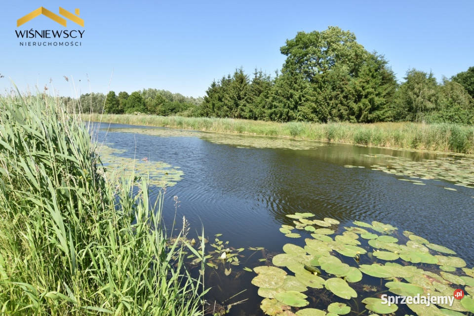 Drewniany dom linii brzegowej 60 m2 Markusy Sprzedaż