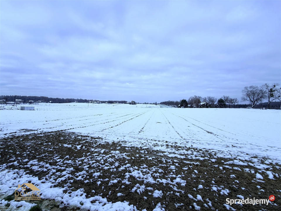 sprzedaży działki 1000 metrów Dębowiec Sprzedaż
