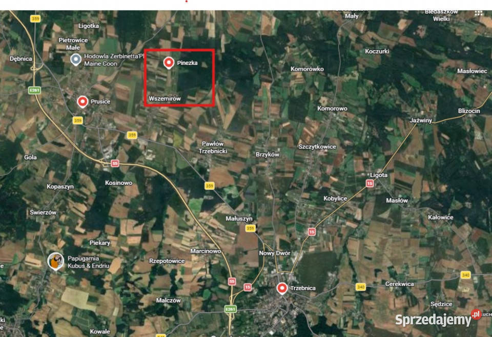 Działki pod Trzebnicą lesie9840m2media w 98zł/m2 Wszemirów