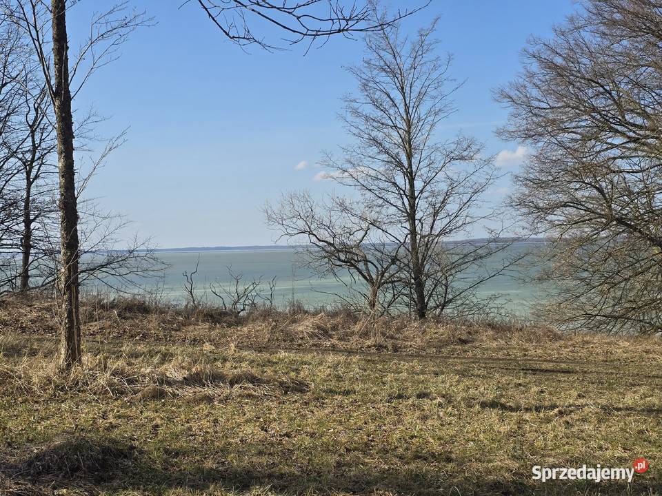 Linia brzegowa Śniardwy Kwik