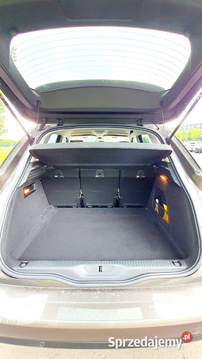 Citroen C4 Picasso 30 Idealny stan Salon zadbany CD Warszawa