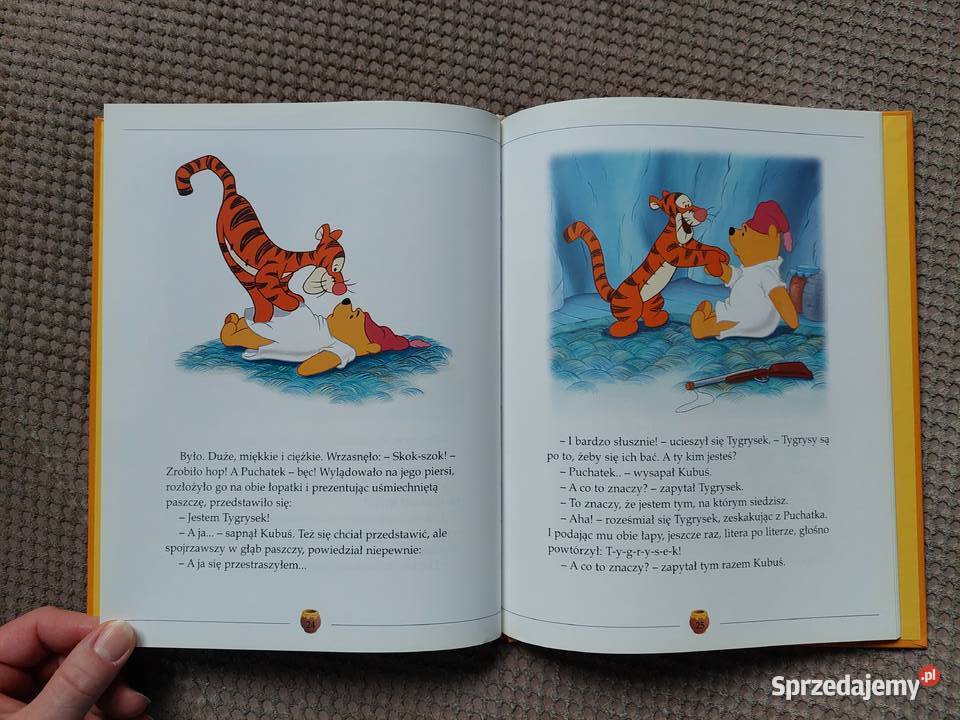 Zwariowana zawierucha Przygody Kubusia Puchatka