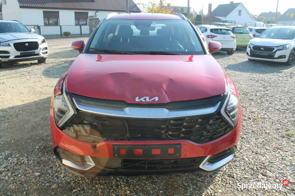 Kia Sportage V 2021 Ostrów Wielkopolski