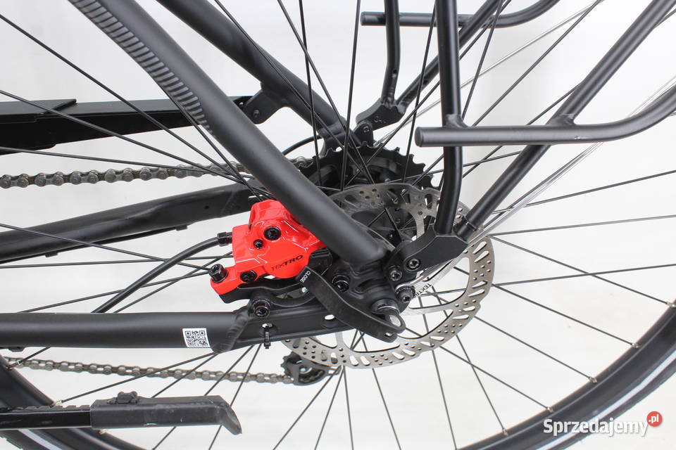 ALU rower męski PEGASUS 24 biegi Koła 28 Milicz sprzedam