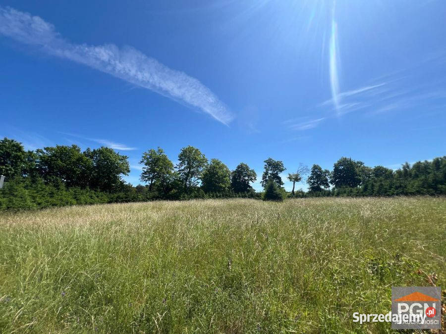 Działka Gostyniec 3007m2 gaz Sprzedaż sprzedam