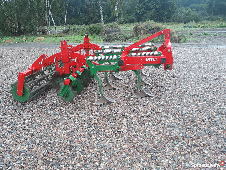 Gruber unia kos Gągolin Południowy