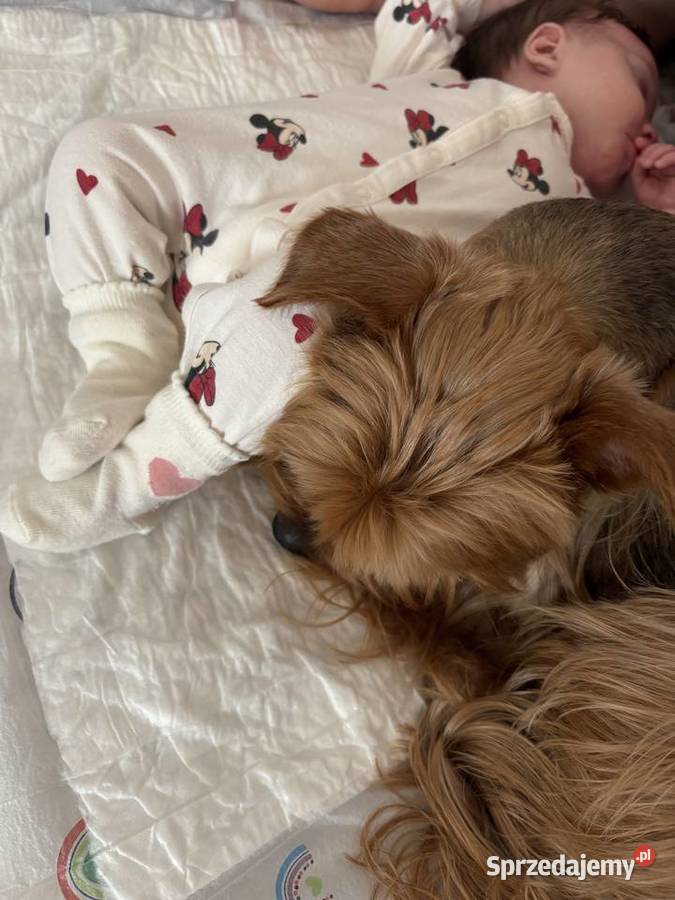 Peugeot 207 2013r lift 14 hdi okazja mazowieckie Warszawa