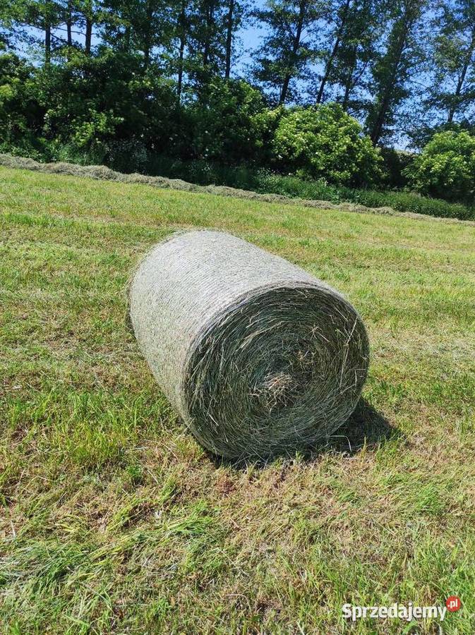 holland br 7070 Rolujące (belujące) Mogilno