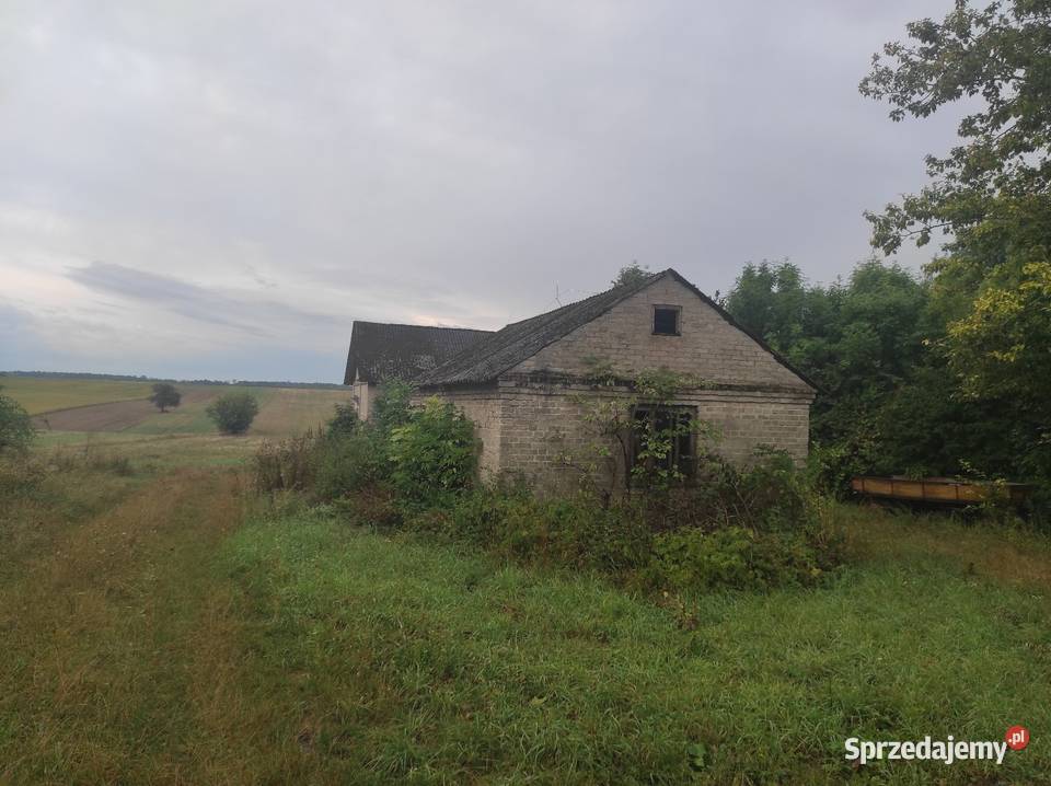 Zabudowania Teresin gm Leśniowice ziemia Sprzedaż Chełm