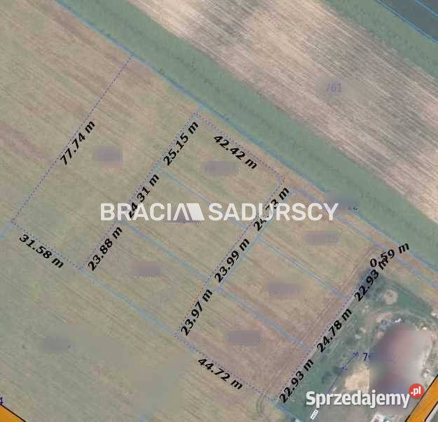 Działkę sprzedam 2503m2 Sieciechowice Długa sprzedam