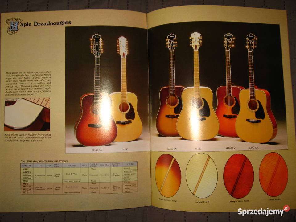TAMAIbanez Acoustic Guitars katalog gitar Ibanez