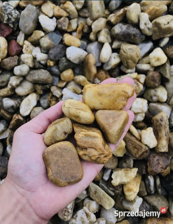 ŻWIR MIODOWY OTOCZAK BURSZTYNOWY Żółty Kamień