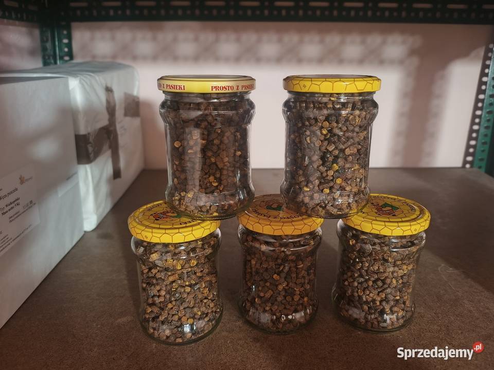Pierzga Pszczela 300g zbiór 2026 Pyłek pszeczeli