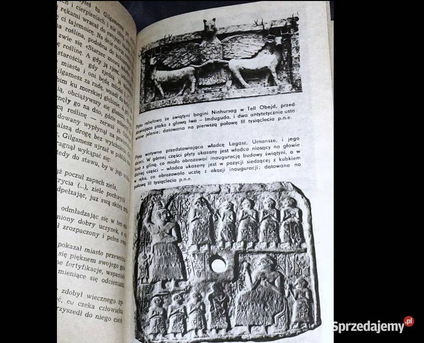 Tajemnice glinianych tabliczek Antoni Chełm sprzedam