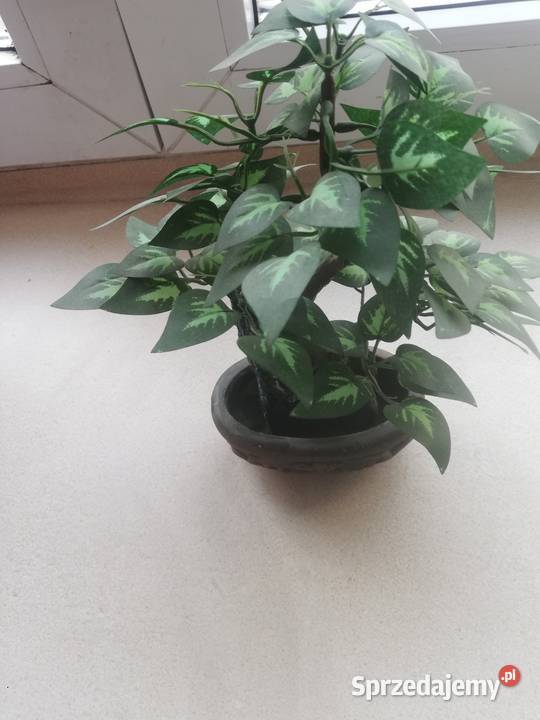 Drzewko sztuczne dekoracyjne Sztuczne kwiaty i owoce mazowieckie Warszawa sprzedam