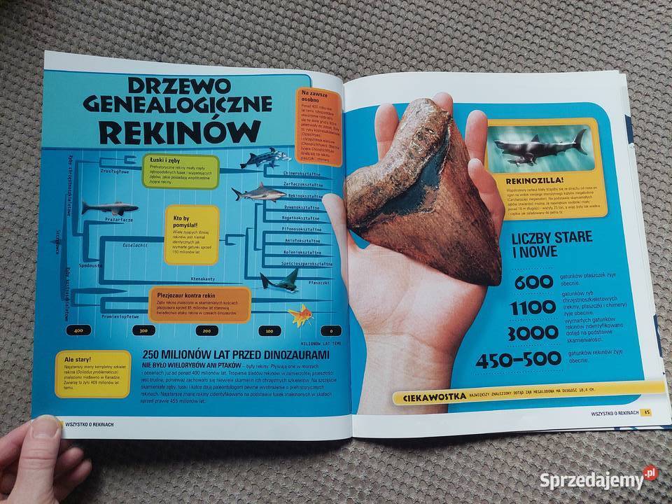 National Geographic Kids Wszystko o rekinach miękka Kraków