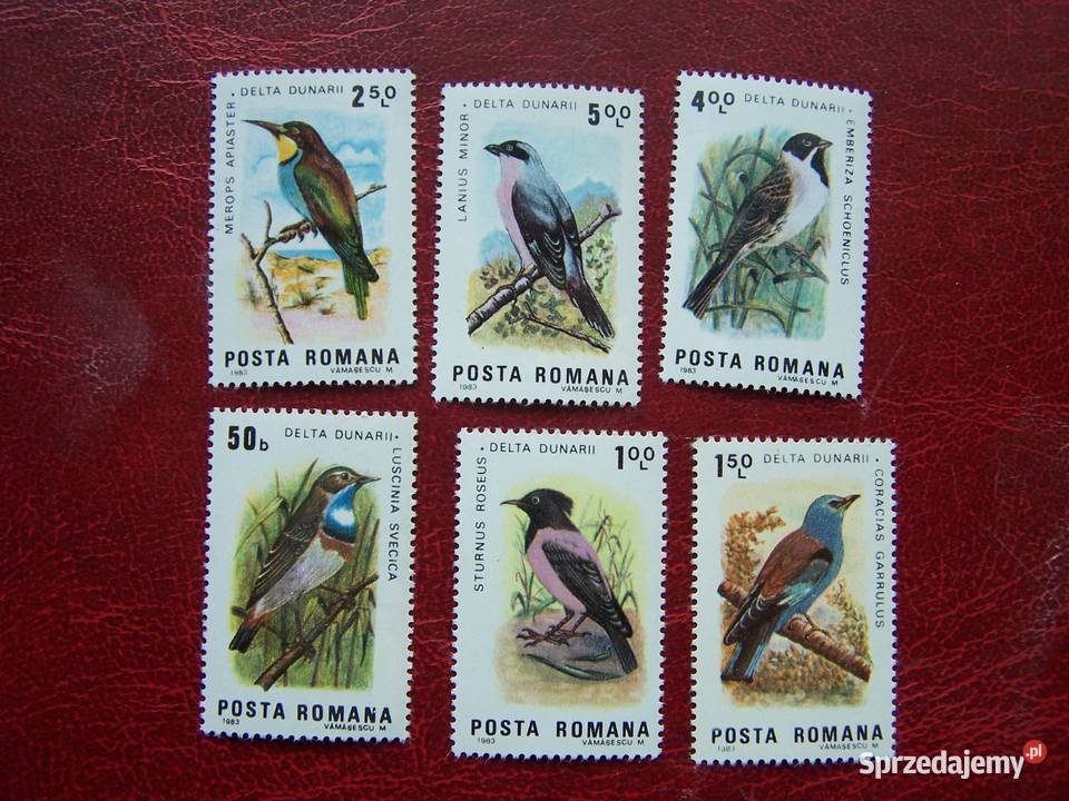 Rumunia 1983 MNH Mi 396571 Fauna Ptaki Filatelistyka śląskie Tychy