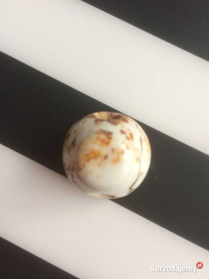 939 5 Niemieckich Porcelanek zachodniopomorskie Szczecin